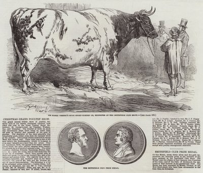 Christmas Grand Poultry Show by Harrison William Weir